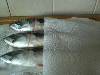 Le poisson du jour : le maquereau Le poisson du jour : le maquereau