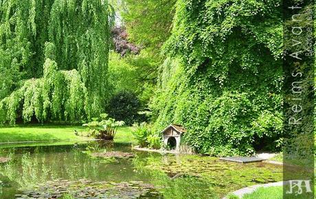 Un coin du Jardin-Ecole JardinEcole2.jpg