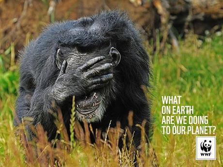 La pause publicitaire du vendredi : La nouvelle campagne WWF