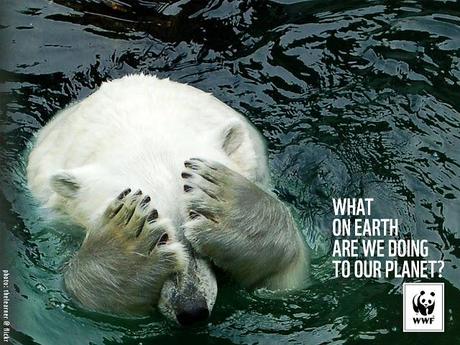 La pause publicitaire du vendredi : La nouvelle campagne WWF