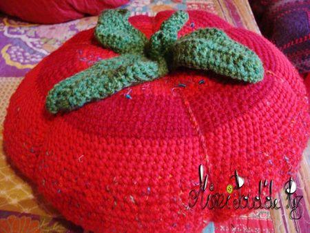 Sauce tomate ou Sauce citrouille DSC02535