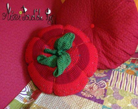 Sauce tomate ou Sauce citrouille DSC02536