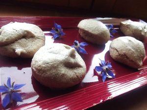 Meringues à la cannelle DSCF3502