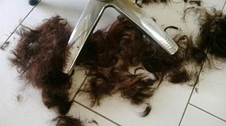 du nouveau WP_20130612_009.jpg