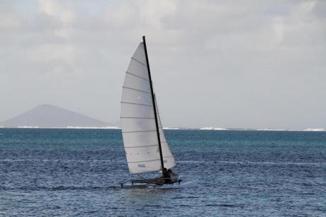 Capitaine en Papillote à l'Ail