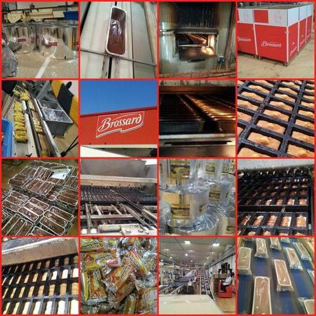 Quand les lionnes visitent la savane usine-brossard