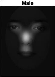 La MÉMOIRE des visages, une capacité typiquement féminine – Psychological Science La MÉMOIRE des visages, une capacité typiquement féminine – Psychological Science