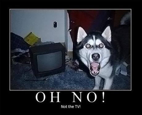 oh no, not the TV !