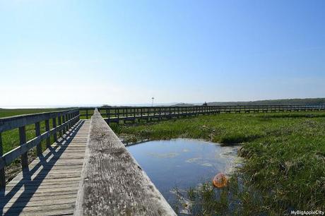 From France to New York City, life is beautiful / De la France à NY, la vie est belle From France to New York City, life is beautiful / De la France à NY, la vie est belle