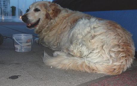 Il faut sauver le handicapé Eric Grassien (9)! Sans titre 2-sssssssss.jpg