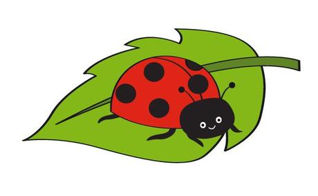 quel insecte est surnomme bete a bon dieu