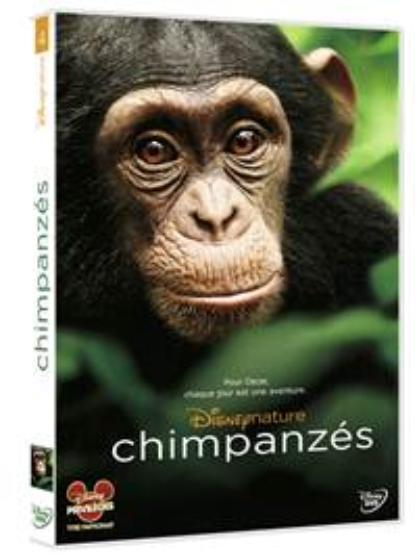 chimpanzes.002-copie-1.jpeg