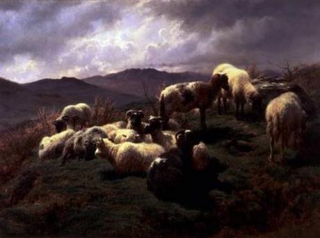 Ceux qui se font signe dans la nuit Moutons.jpg