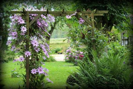 Baume au coeur... Baume au coeur...