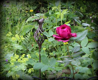 Baume au coeur... Baume au coeur...