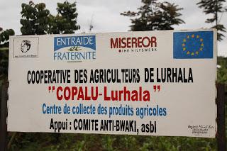 SIMPLES REGARDS SUR LE SUD KIVU, EST DE LA REPUBLIQUE DEMOCRATIQUE DU CONGO