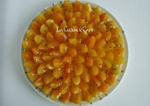 Tarte aux Abricots tarte_abricot_amandes