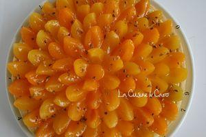 Tarte aux Abricots tarte_abricot
