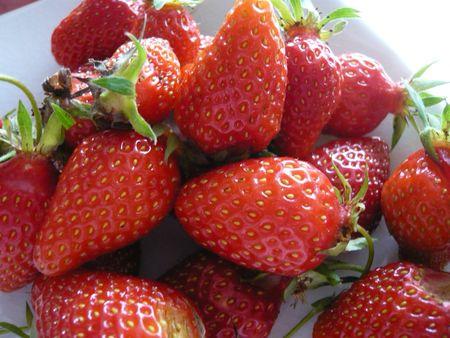 fraises du jardin