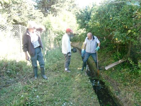 P6220039 Entretien du canal