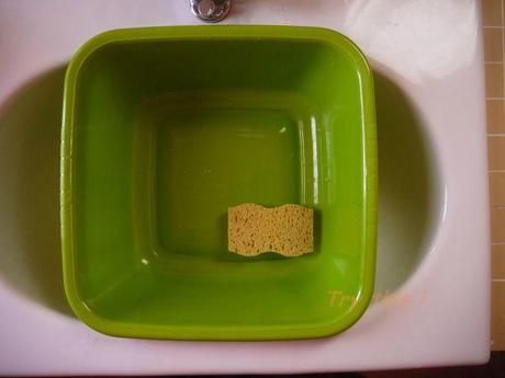 Cuisine en travaux . . . II P1080316