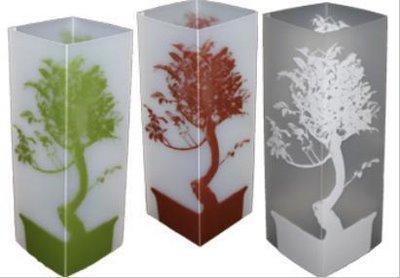 Envie d'un Bonzaï éternel ?