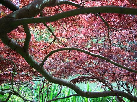 Fondation Claude Monet - Giverny Fondation Claude Monet - Giverny