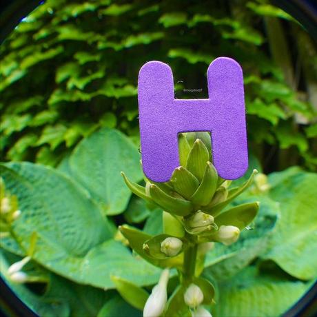 7, i, h ....non ce n'est pas un code secret ;-) anteketborka.blogspot.com, h_3