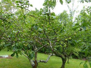 Satisfaits du devoir accompli, mais on serait bien restés ! calfour 3 027