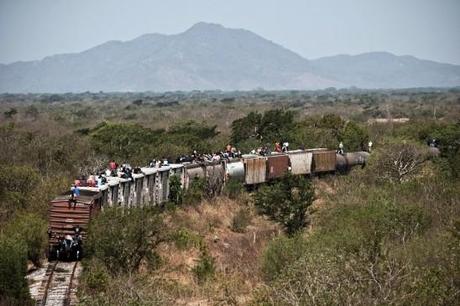 Art – Violence mexicaine de Mauricio Palos Mauricio Palos - Mi Perro Rano