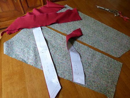 Retour très provisoire à Paris ... retour Paris 049