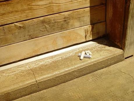 La saison des fourmis commence ! craie-porte