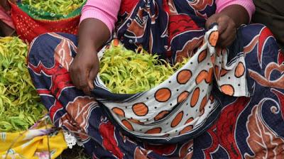 L'Eau Mohéli rend hommage à l'ylang ylang des Comores, #rencontre avec le parfumeur