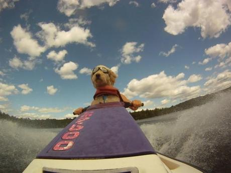 GoPro, be a hero GoPro, be a hero