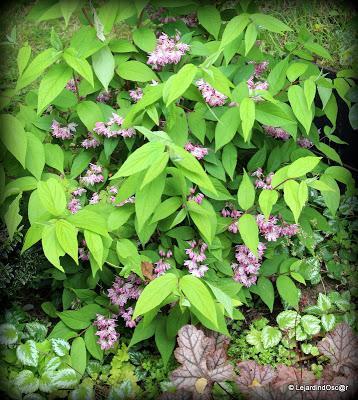 La saison semble s'installer, certes, à petits pas, mais ... La saison semble s'installer, certes, à petits pas, mais ...