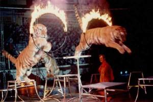 brics_saut_avant Les BRICS coulent-ils ?