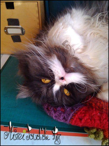 On en a gros ! IMG_20121022_131919