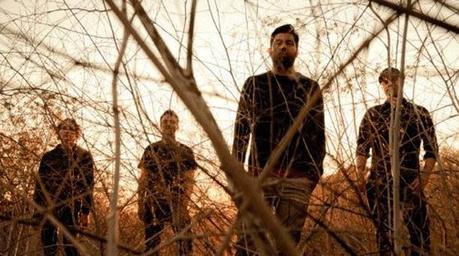 Les sorties de la semaine palmsband Les sorties de la semaine