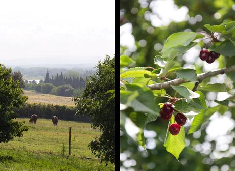 Joli mas provençal Joli mas provençal