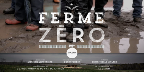 ferme élevage économie ferme élevage économie