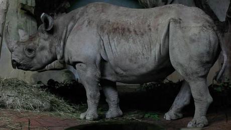 Sophie Mei Dalby, lauréate des Nuits Photographiques 2013 Sophie Mei Dalby