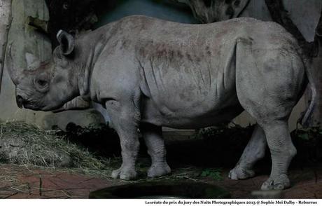 Sophie Mei Dalby, lauréate des Nuits Photographiques 2013 Sophie Mei Dalby