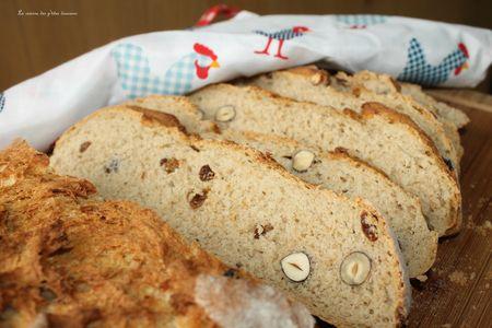 Pain complet au yaourt, noisettes, et raisins IMG_5003