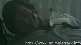 Frogs-Les Crapauds frogs07