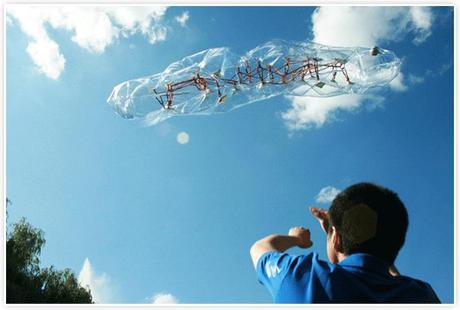 Nest’ – A’postrophe Design Nest' - A'postrophe Design - 4