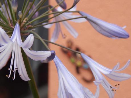 pour le moment pour le moment