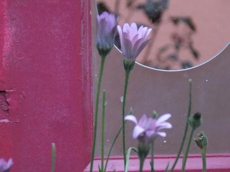 pour le moment pour le moment