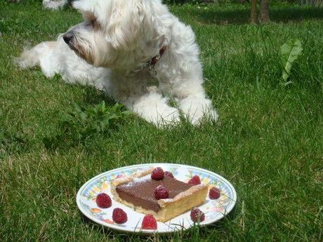 TARTE AU CHOCOLAT DSC02681