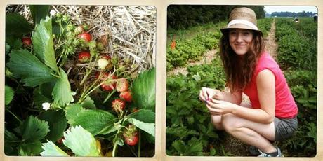 Cueillette de fraises en famille ♡