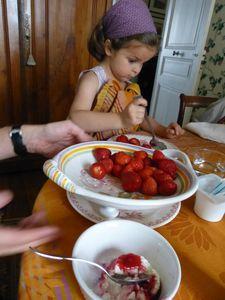 Festin de fraises Apolline un dimanche 004